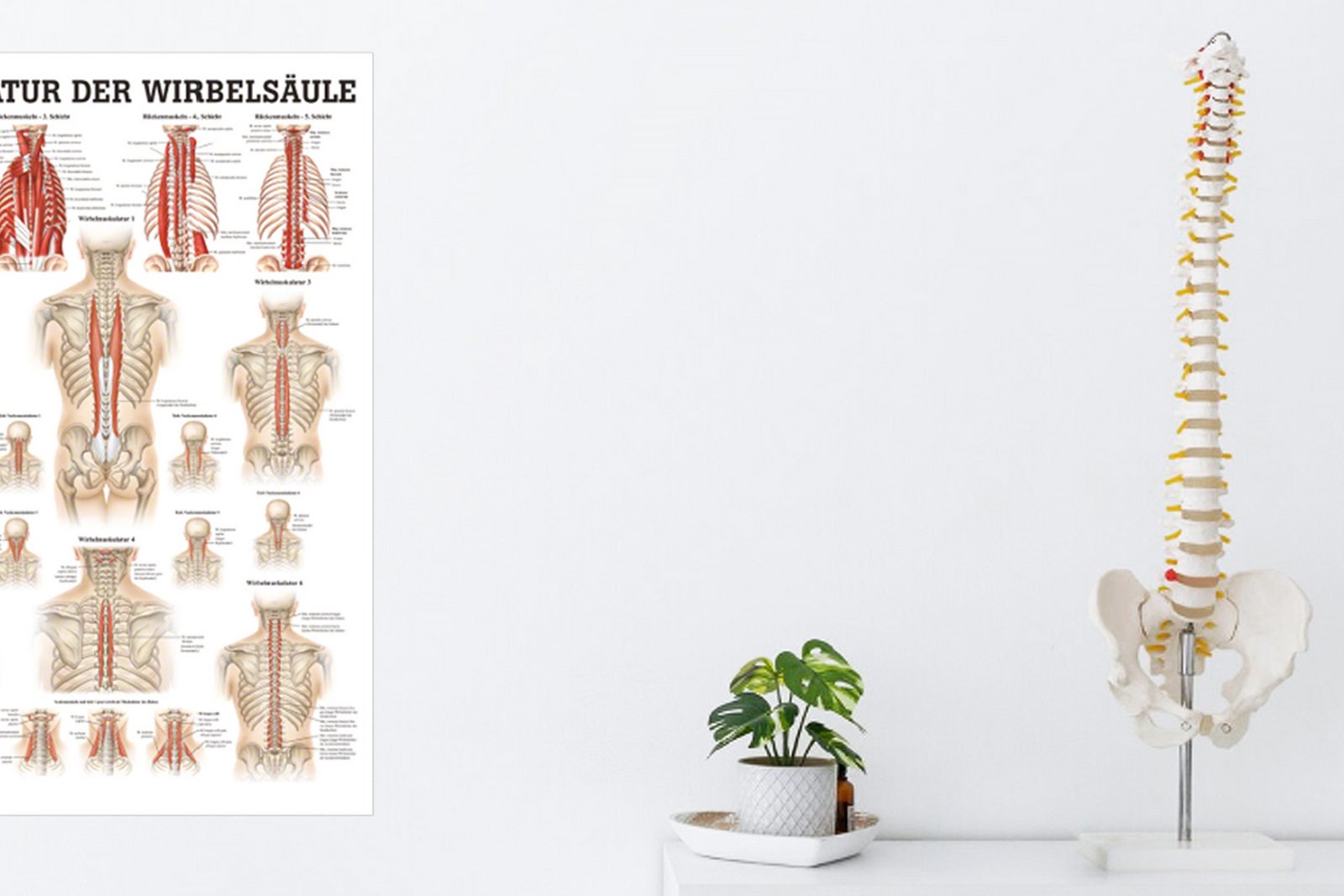 Zertifiziertes Wirbelsäulenspezialzentrum im Alexianer St. Gertrauden-Krankenhaus Berlin