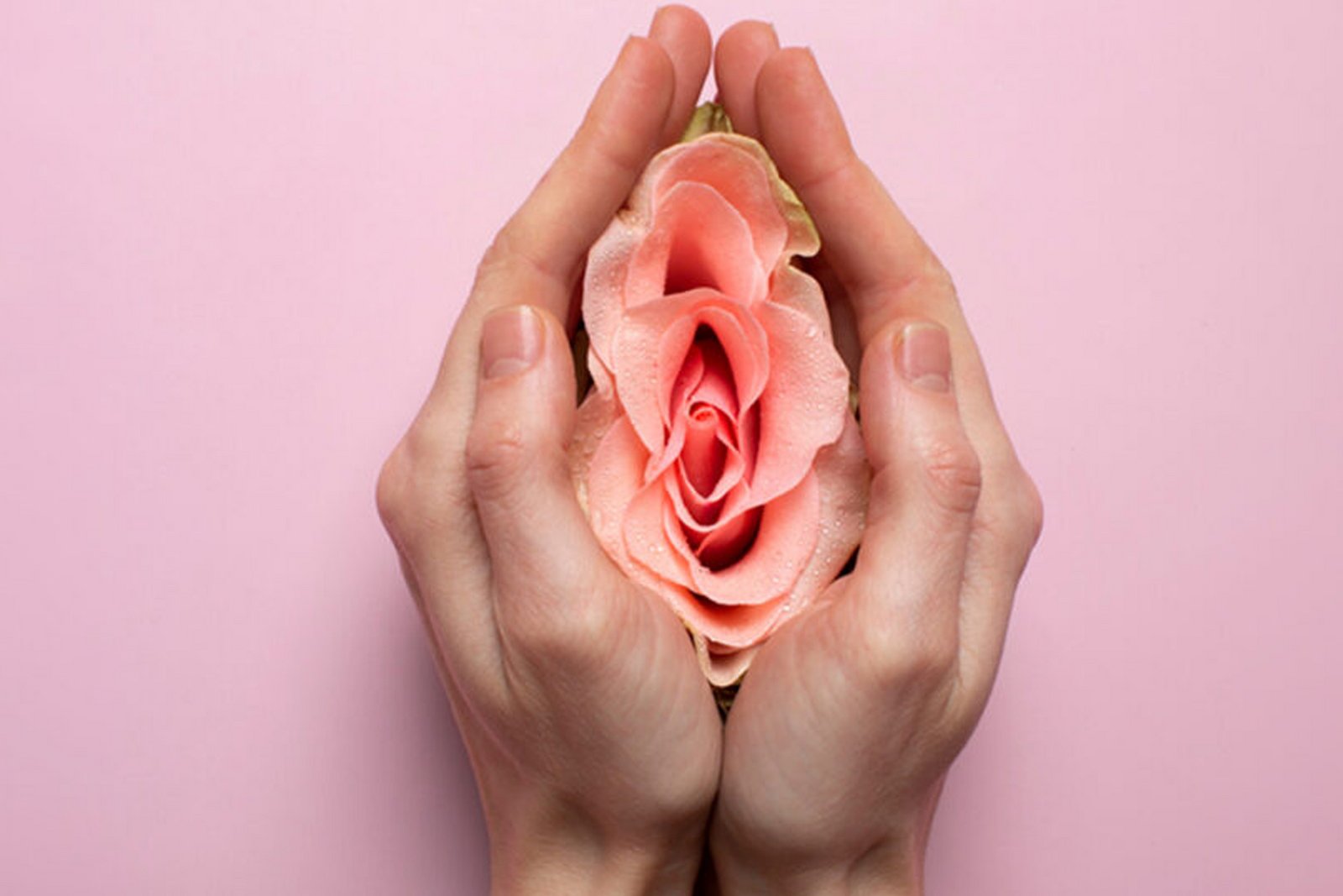 Abstraktes Motiv zur visuellen Darstellung der Frauenheilkunde im Alexianer St. Gertrauden-Krankenhaus Berlin